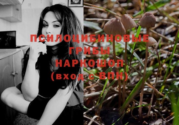 эйфоретик Гусев